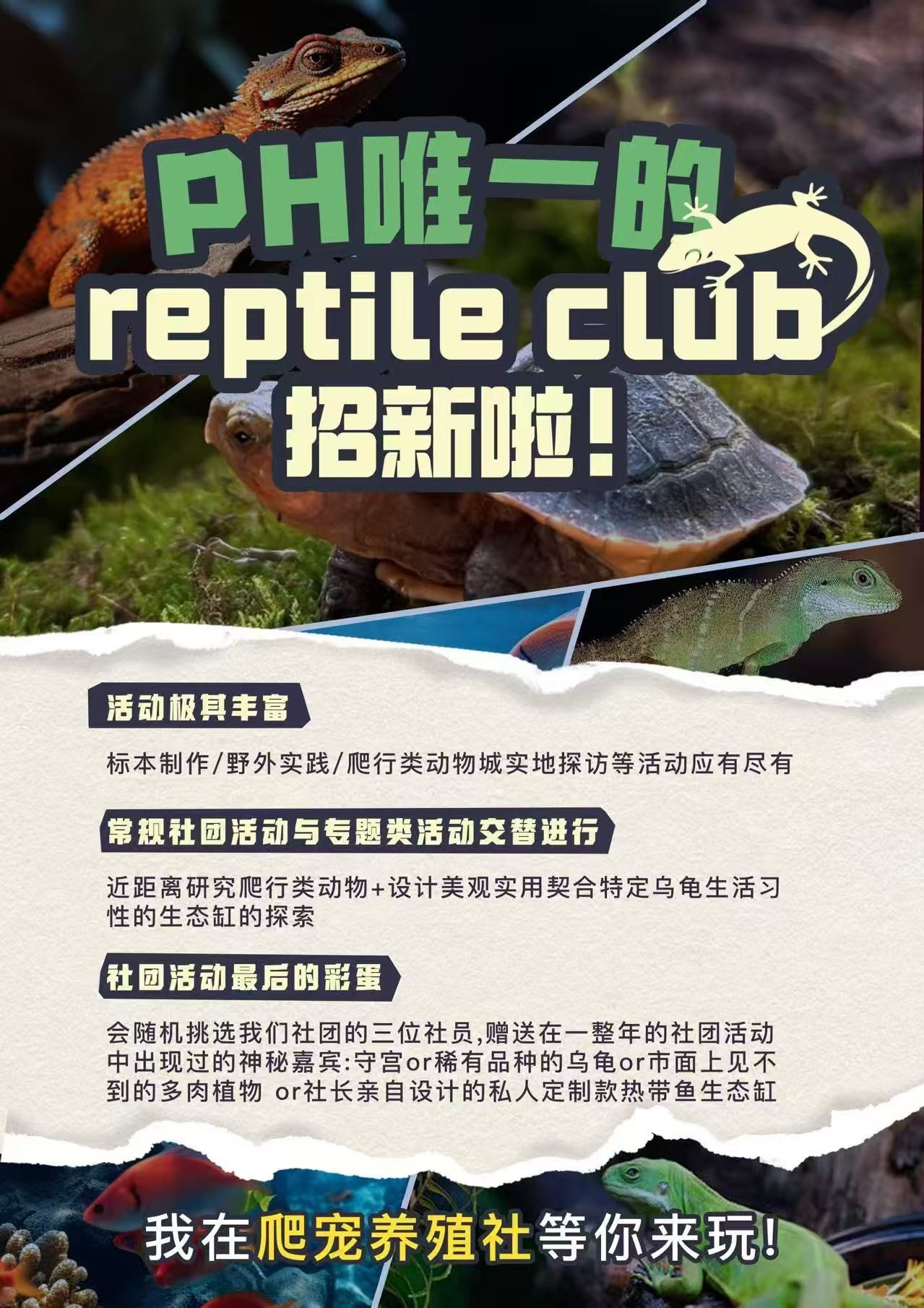 Reptile Club recruitment poster
